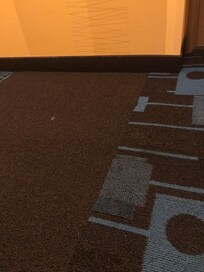 Hallway has debris all throughout