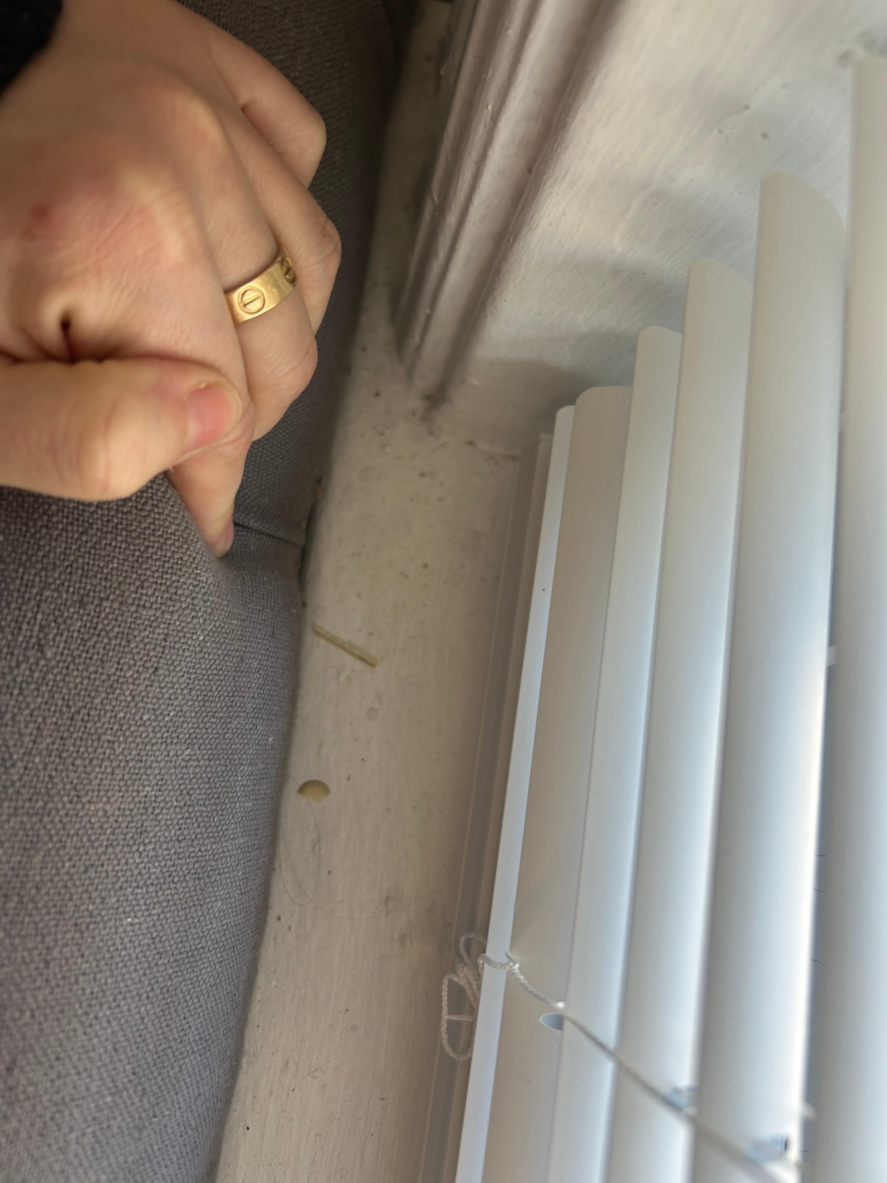 Windowsill behind family room couch