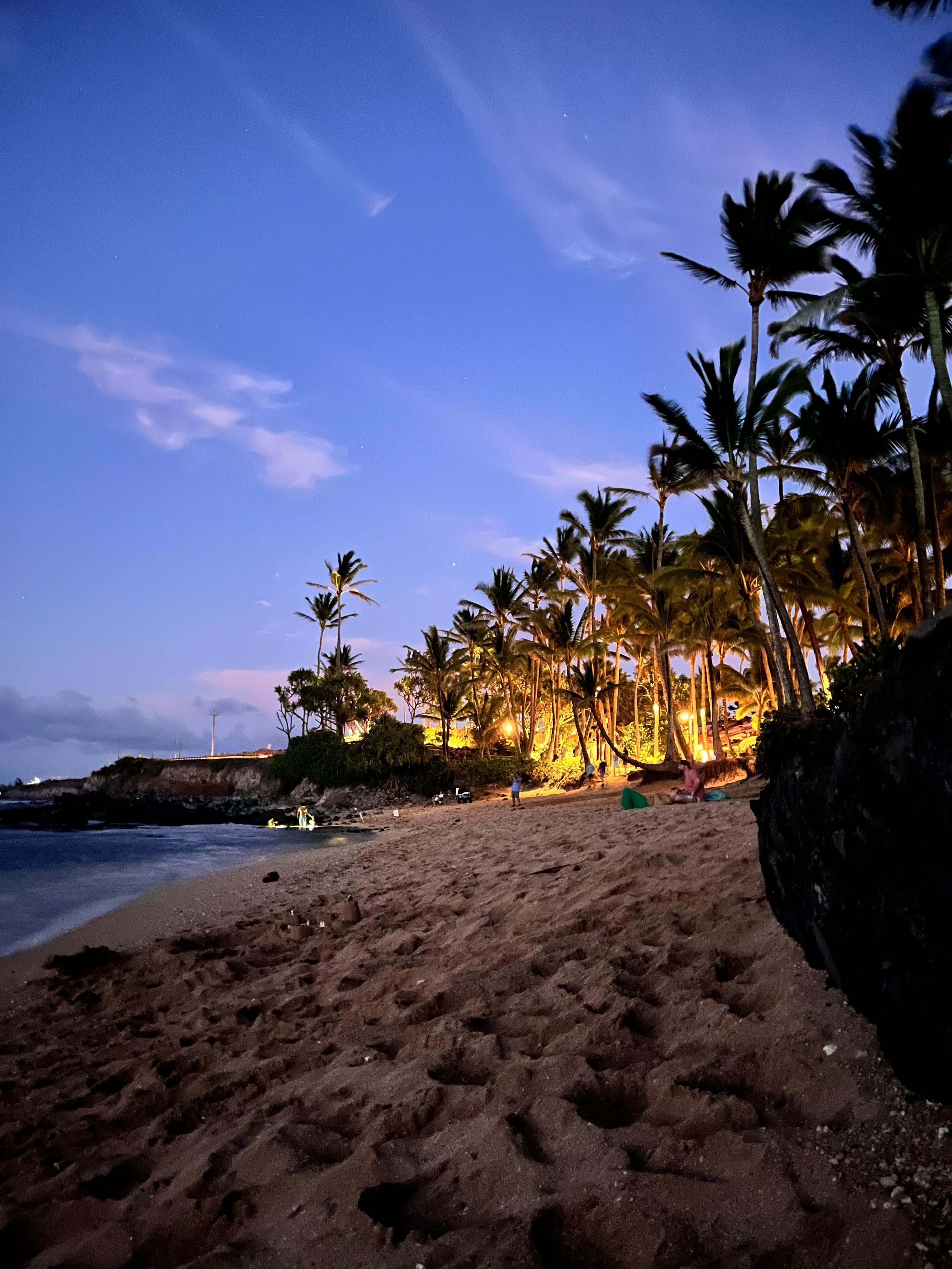 Mama’s beach at twilight. Lots of turtle activity. 