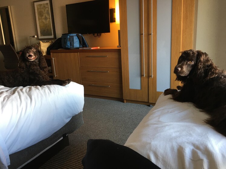 Submitted by Eleanor, Jul 10, 2021