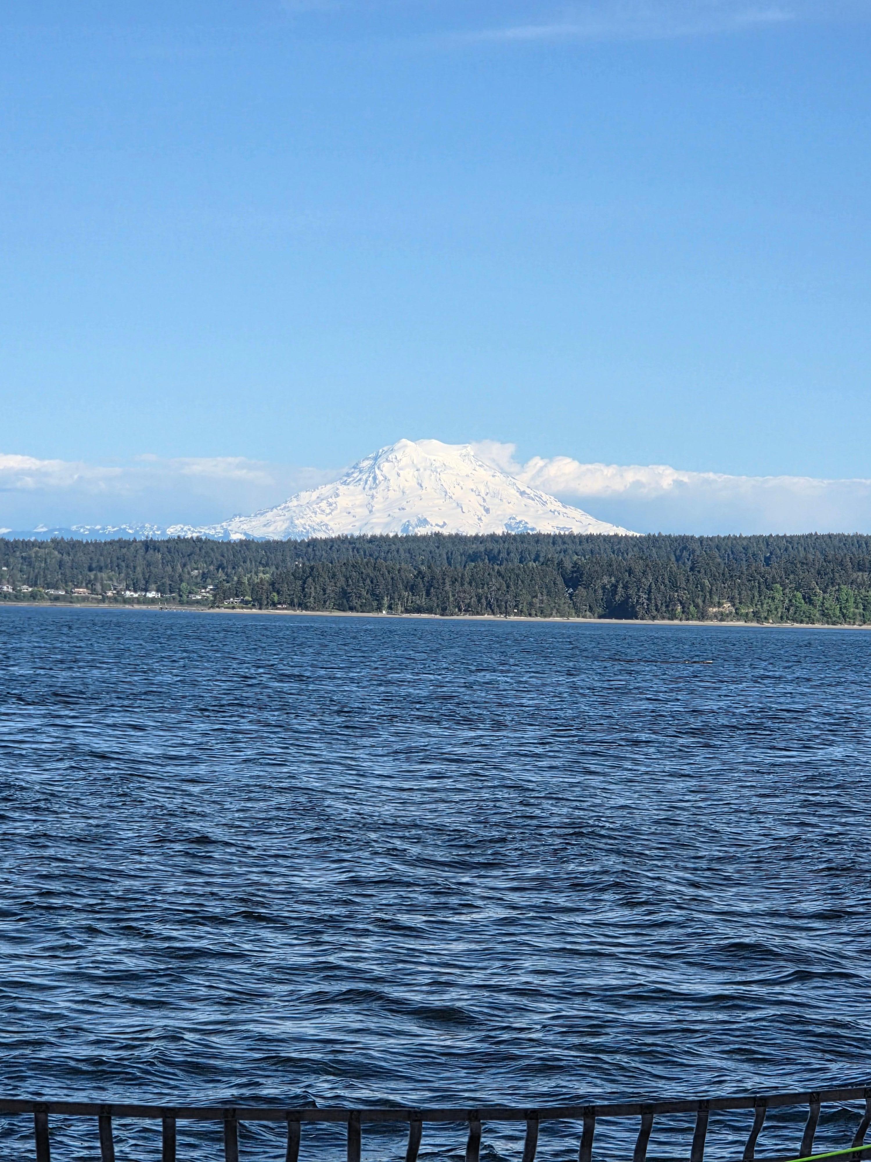 View of Mount Ranier