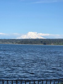 View of Mount Ranier