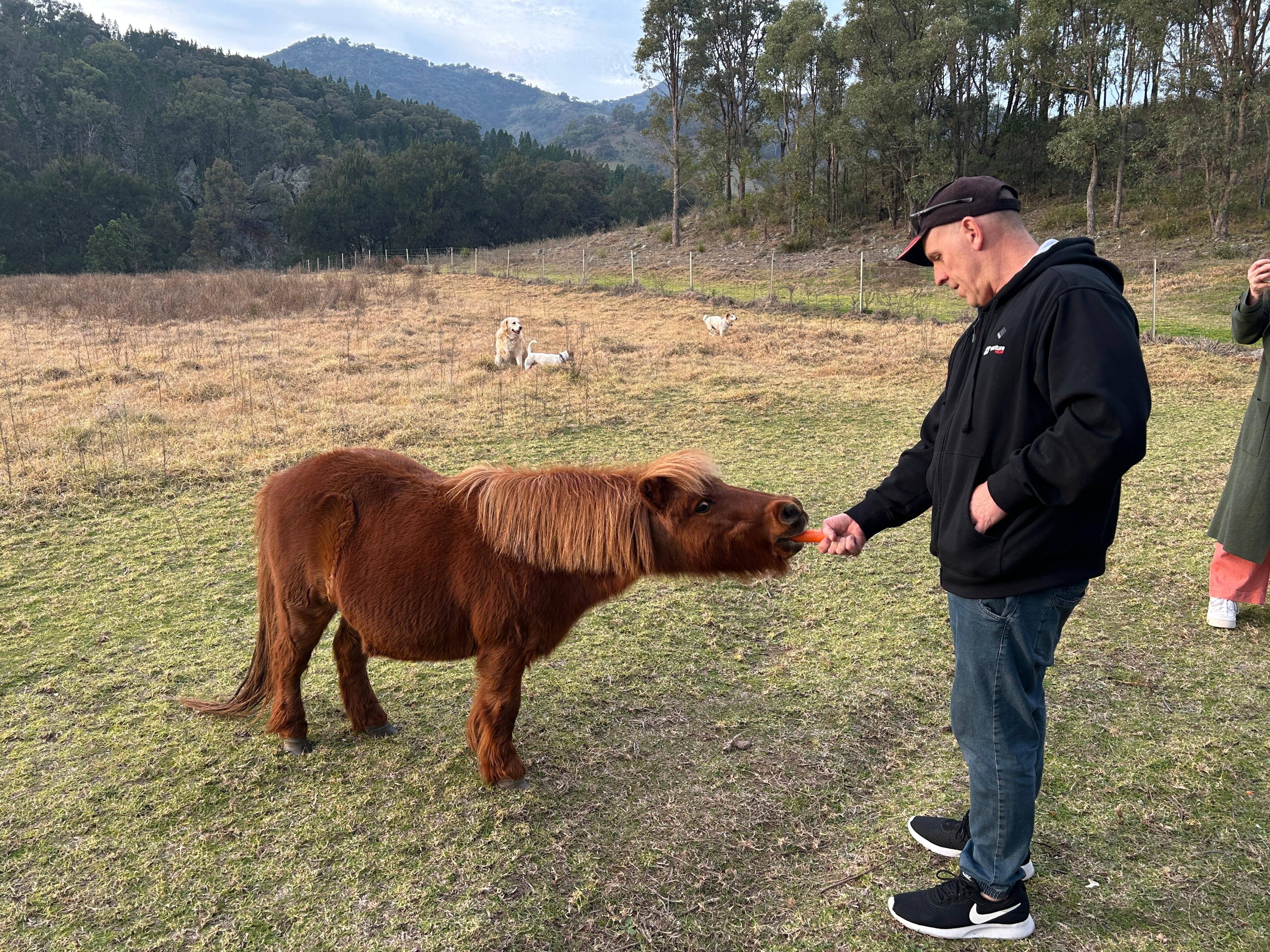 Feeding the friendly pony