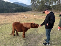 Feeding the friendly pony