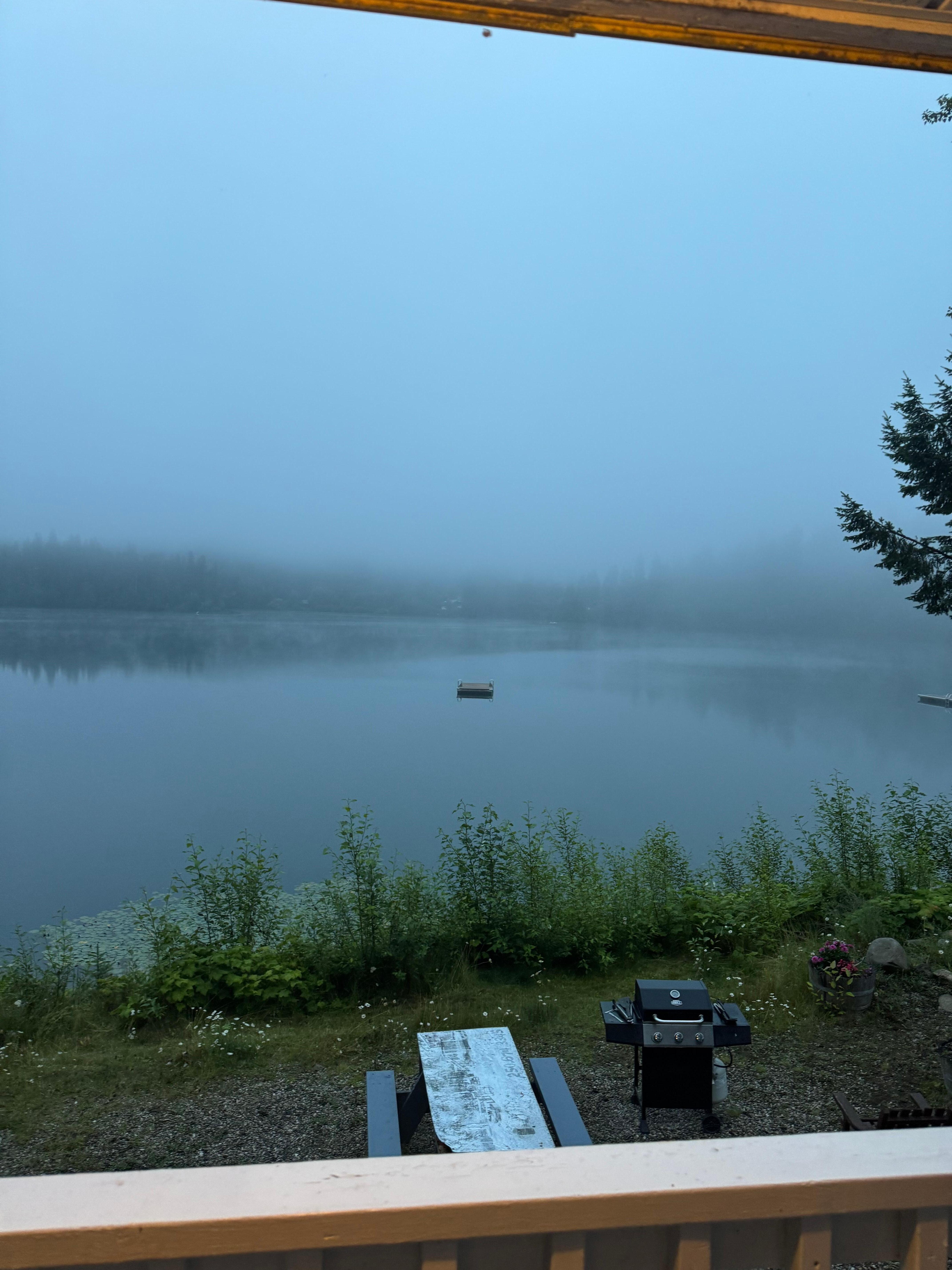 Fog in morning 