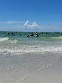 Day at the beach