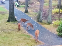 Lots of visitors daily