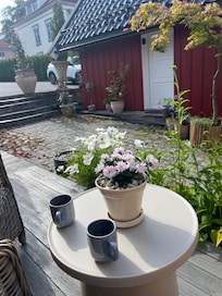 Nydelig uteplass🌸masse vakre blomster🌺
