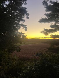 Evening View from hot tub
