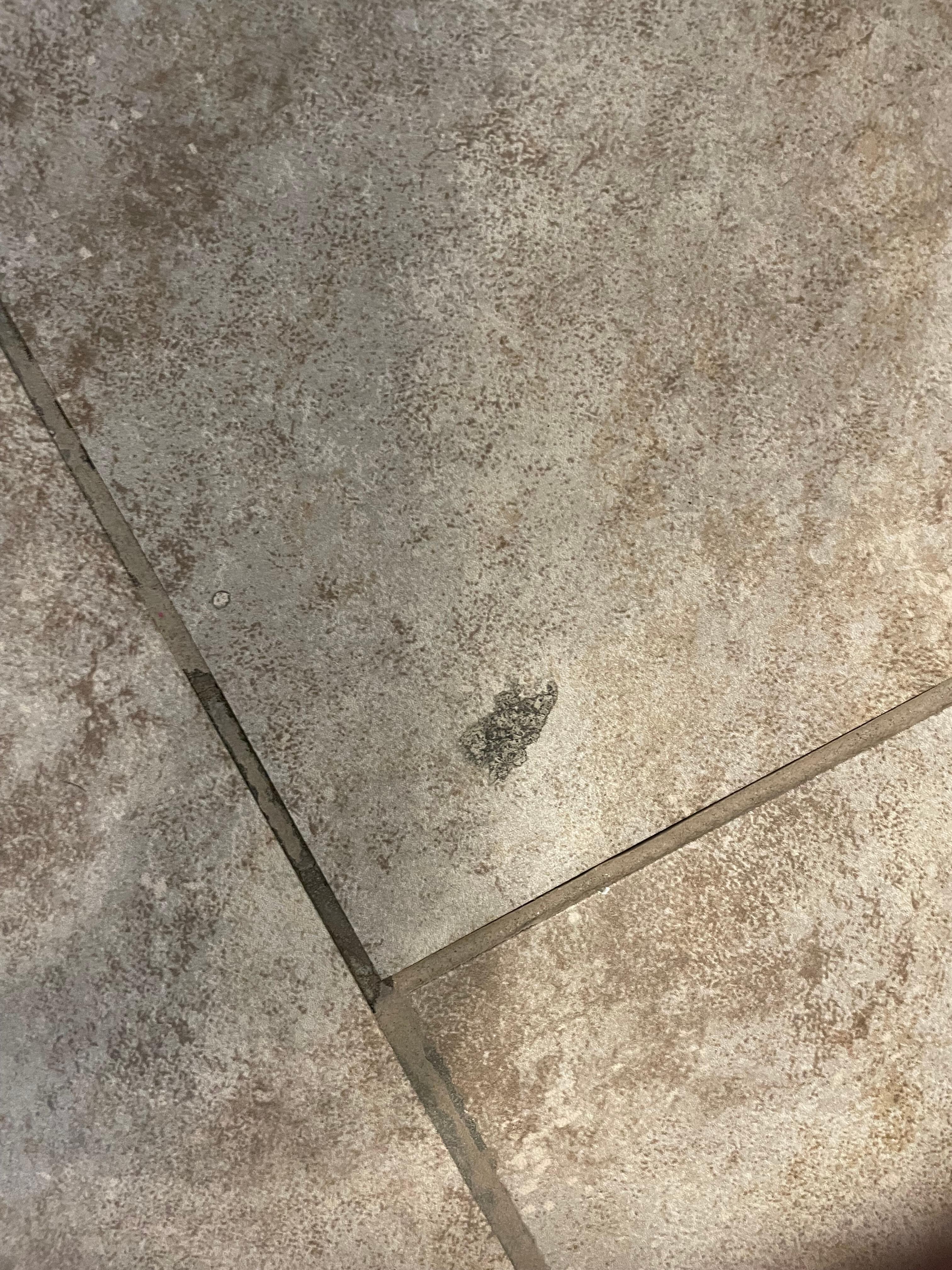 Gum on bathroom floor.  Floors covered in sand