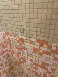 The mold in the shower.