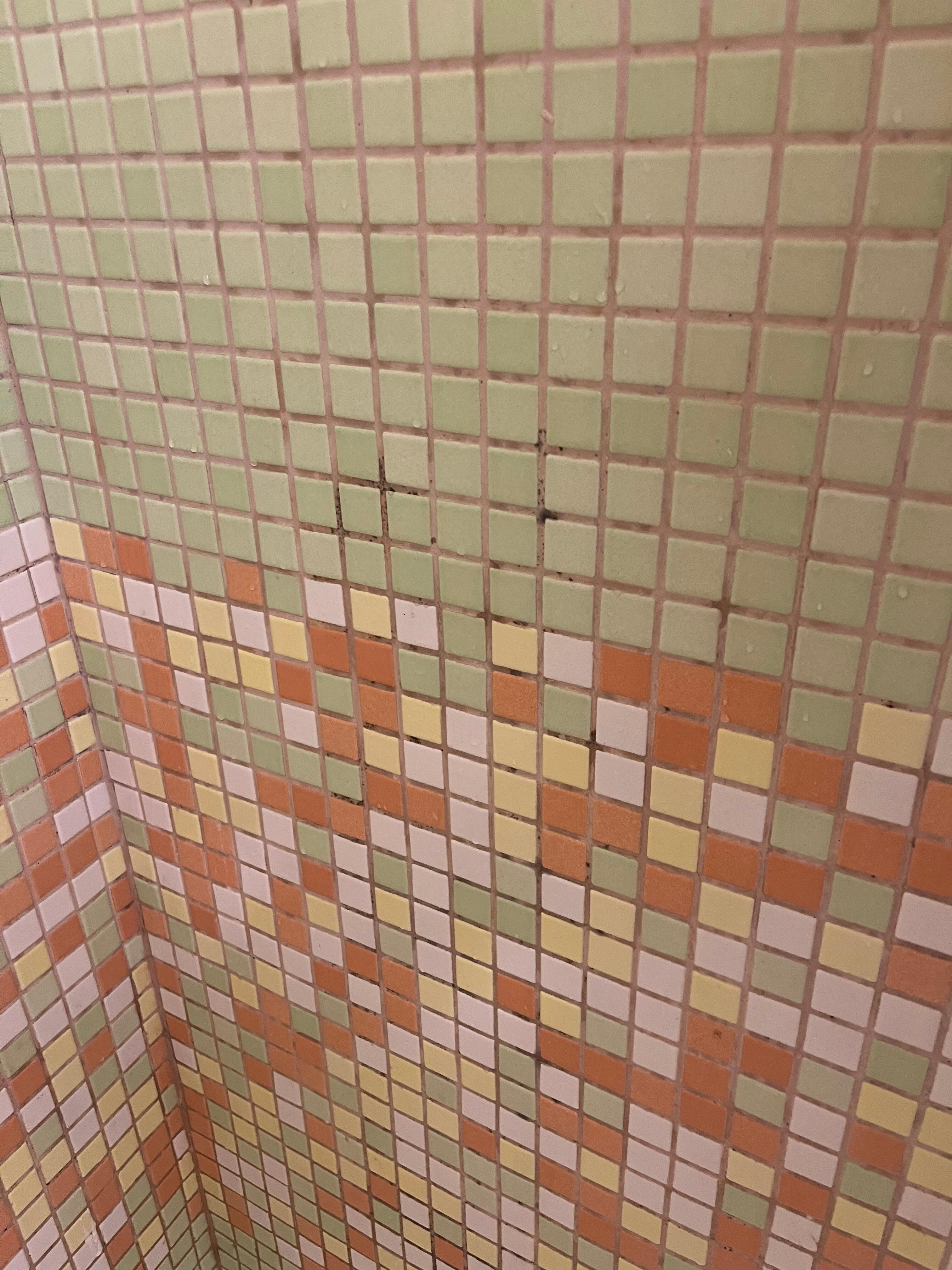The mold in the shower. 