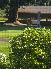 Momma feeding the youngins @ the golf course.
