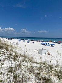The beautiful beach!
