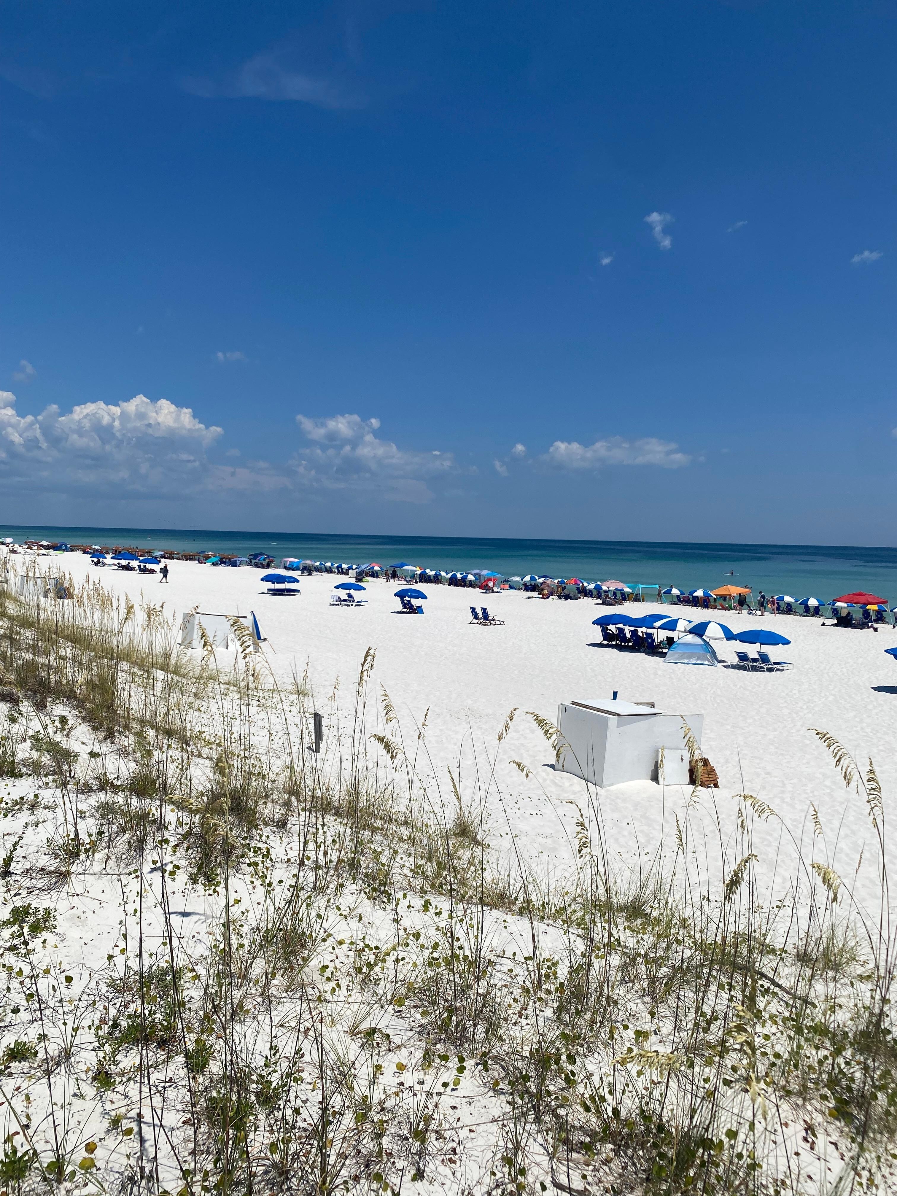 The beautiful beach! 
