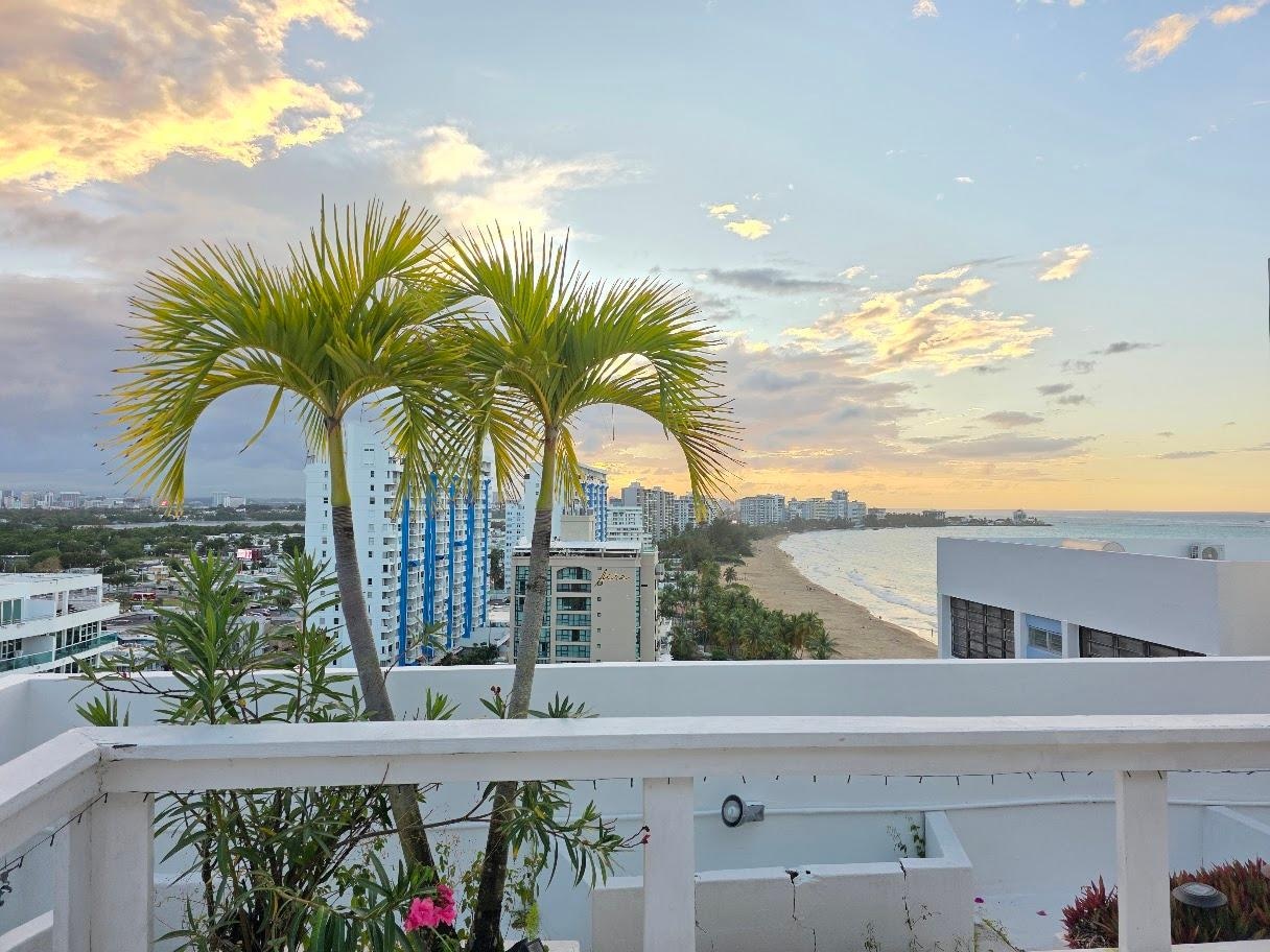 View from the rooftop 