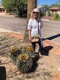 Front yard cactus