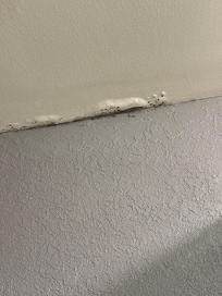 Black mold in bathroom