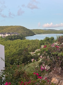 Peaceful and Beautiful