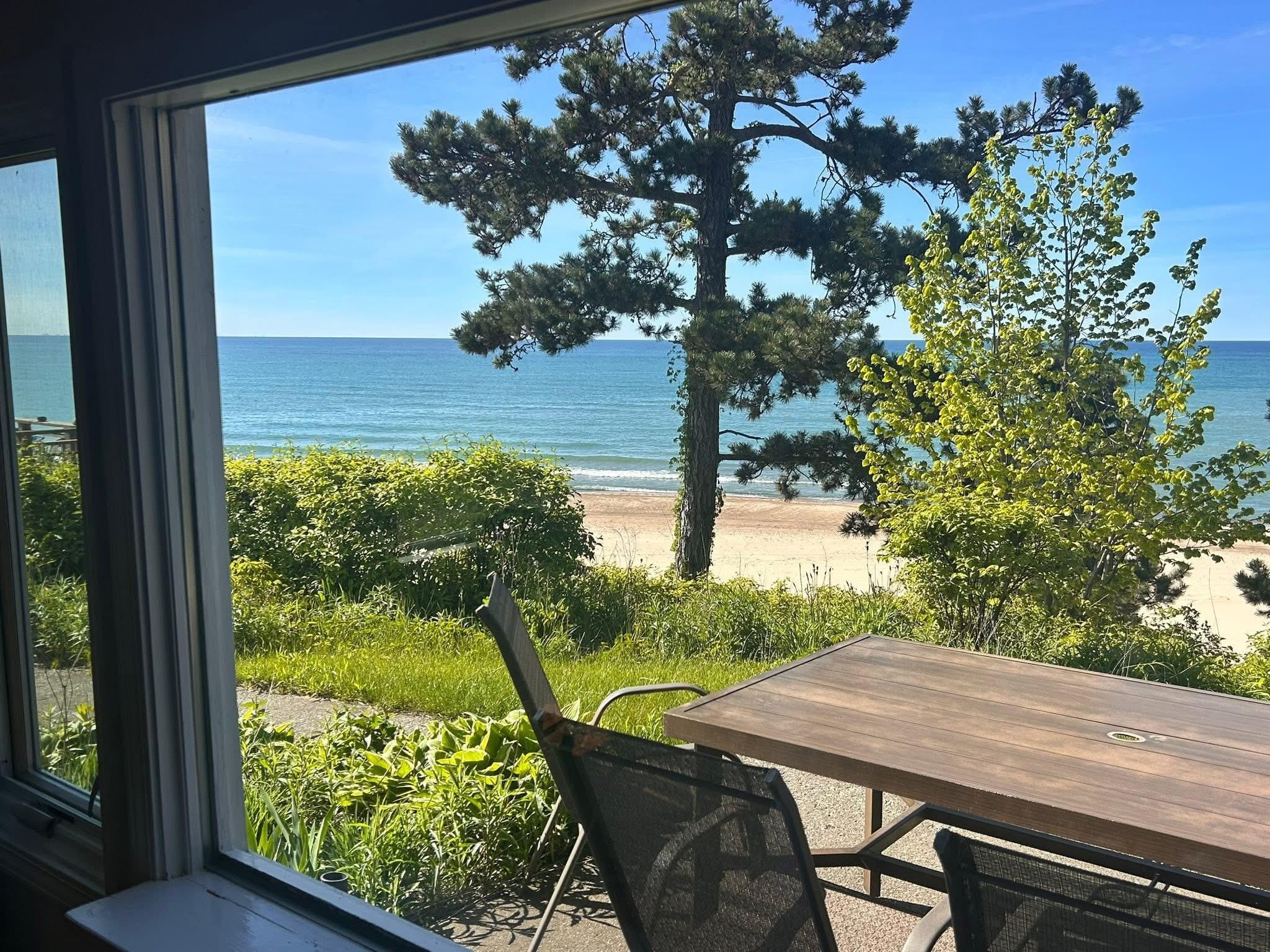 View from the kitchen 