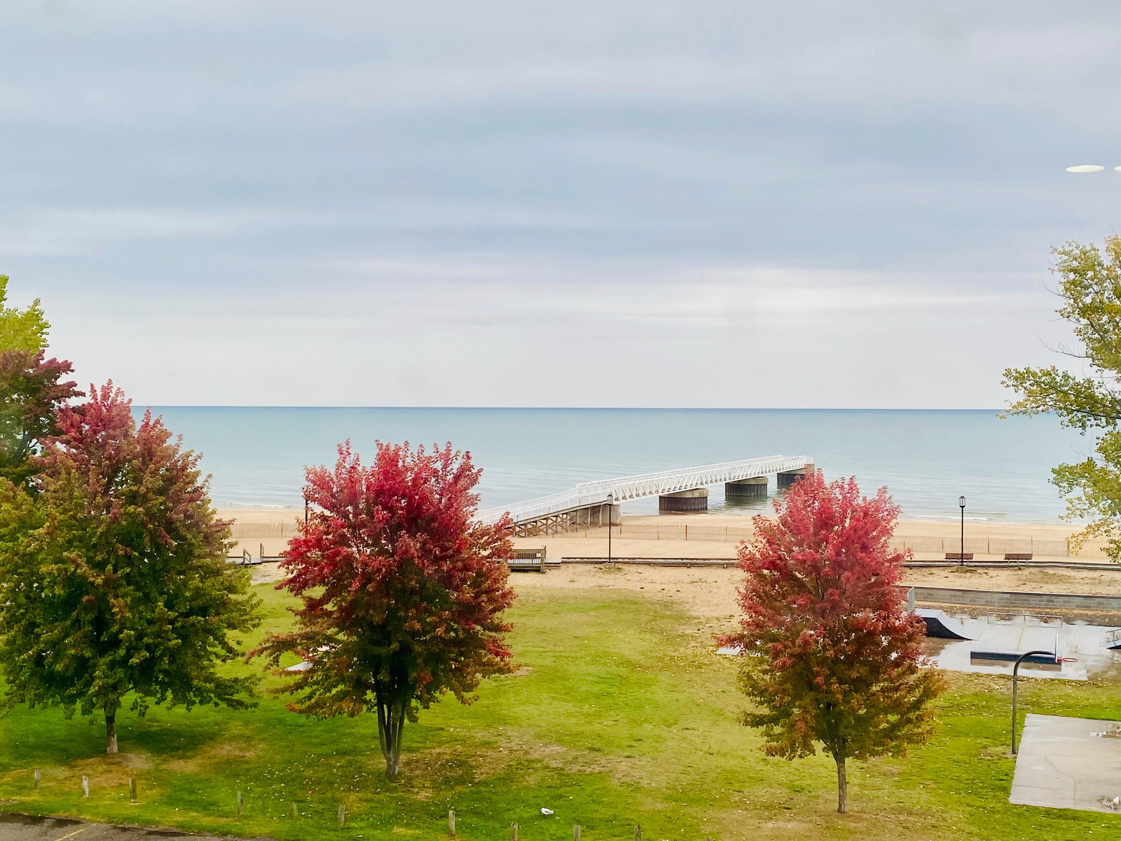 This was the view out our window showing beautiful Fall colors, October 17, 2025. 