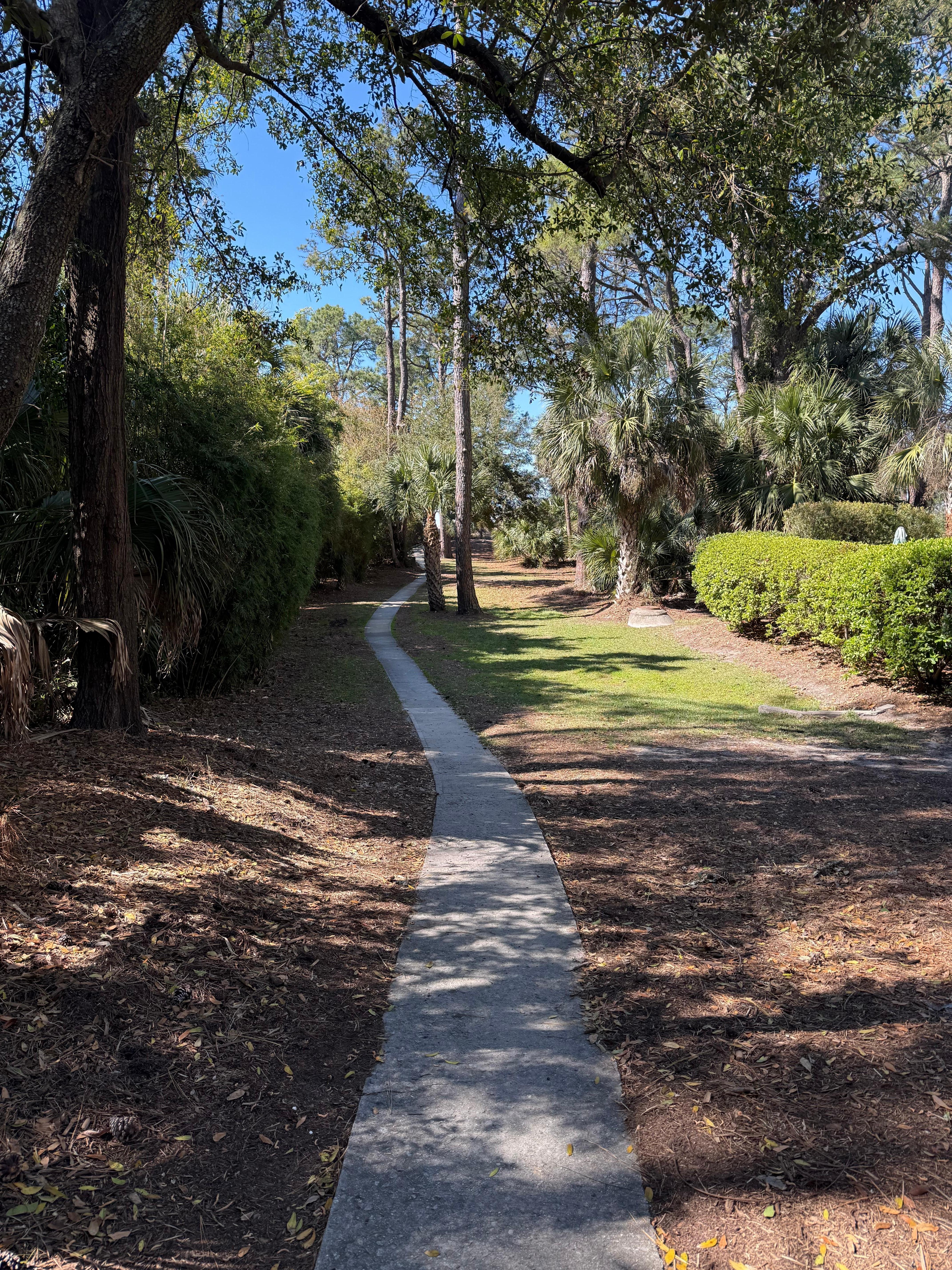 Wonderful walking/biking trails everywhere