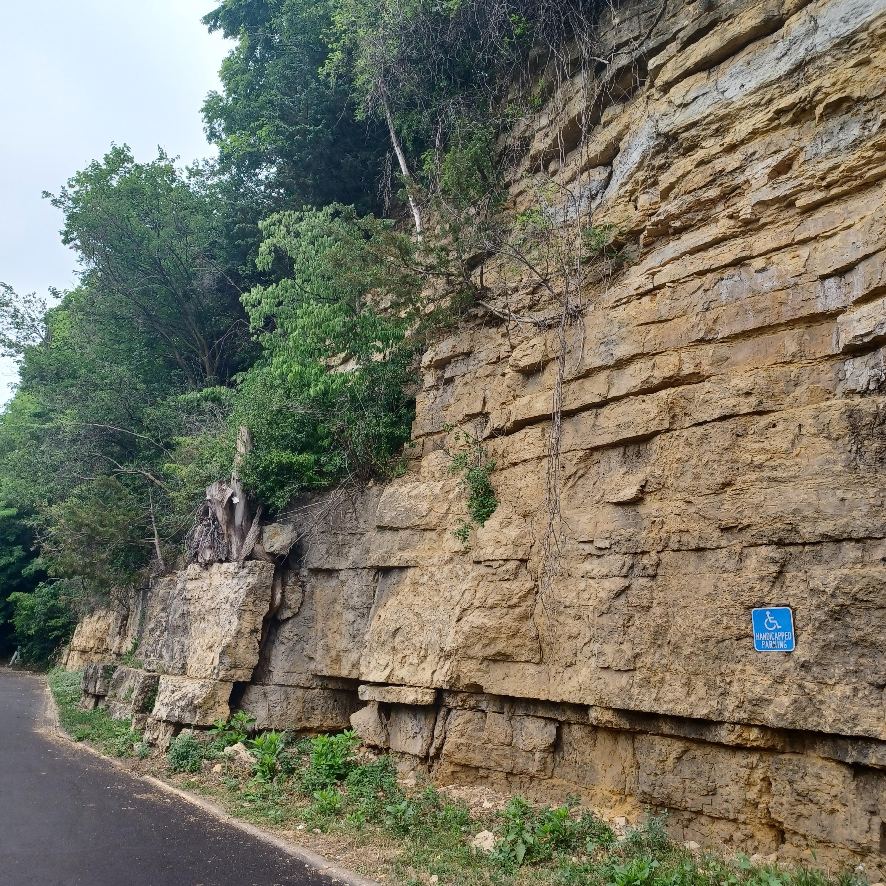 I was fascinated with this ravine and the huge wall of sedimentary layers across from the lobby.