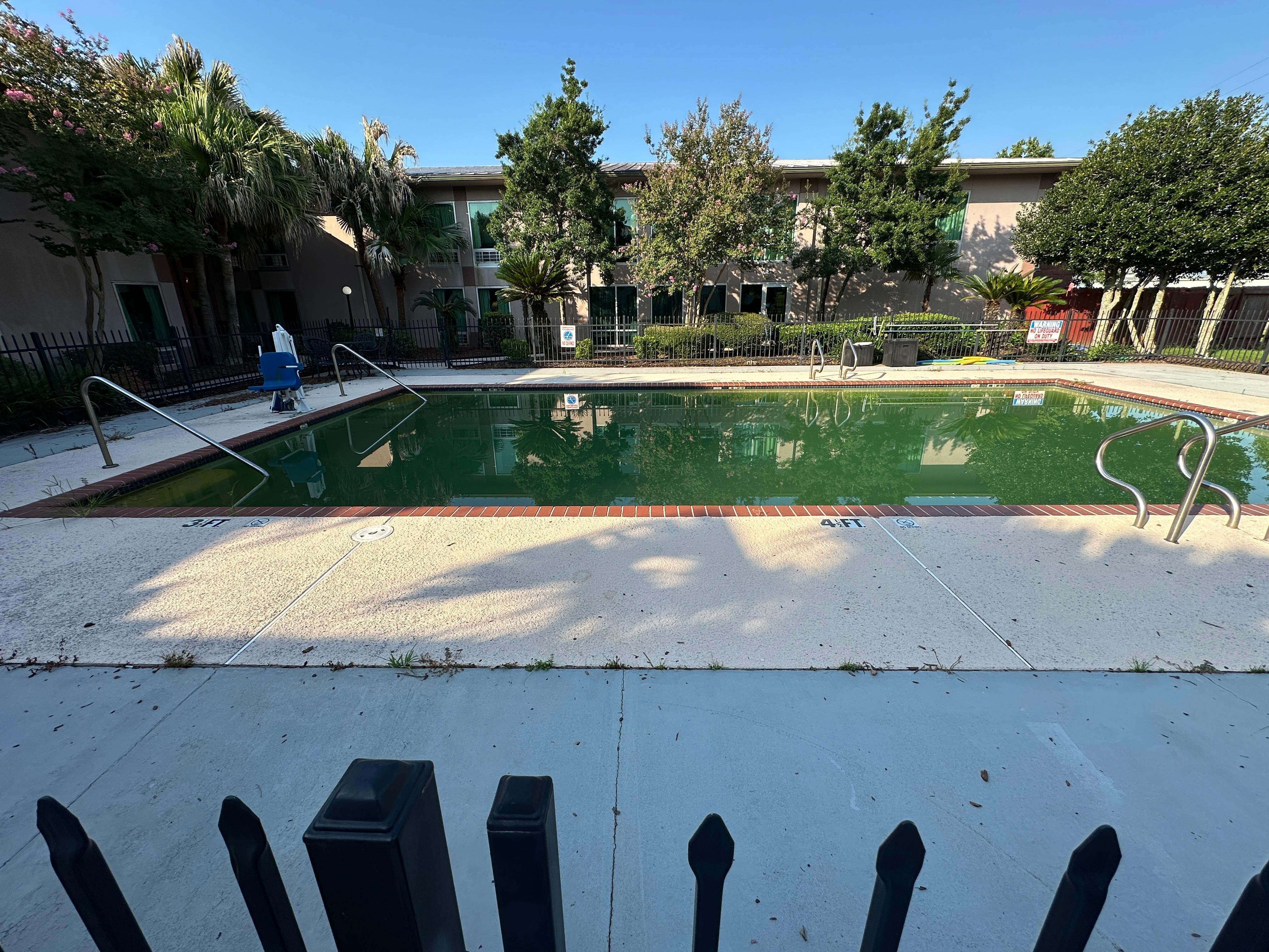 Green pool