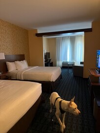 The suite was spacious and inviting…