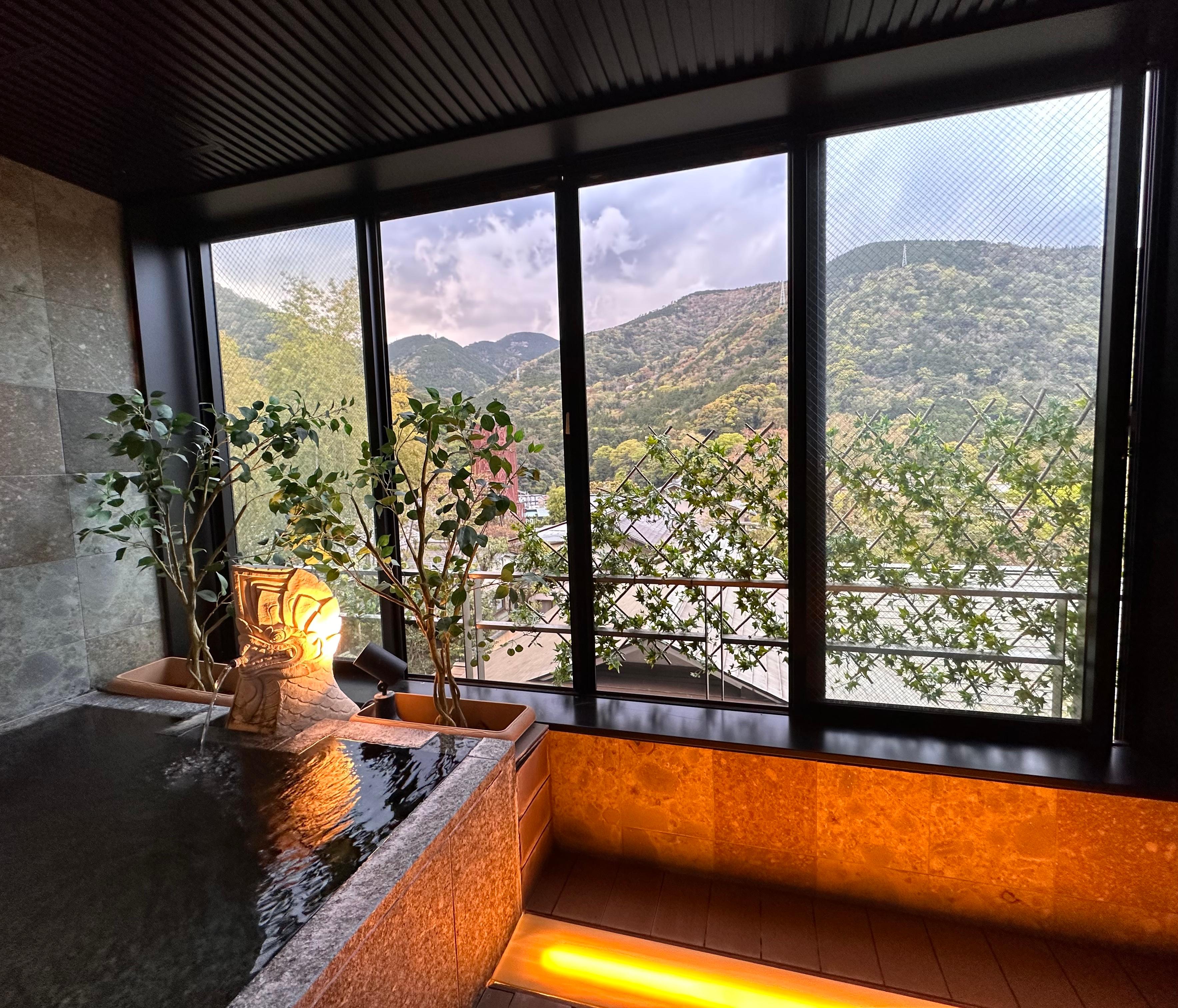 The view with the onsen. 