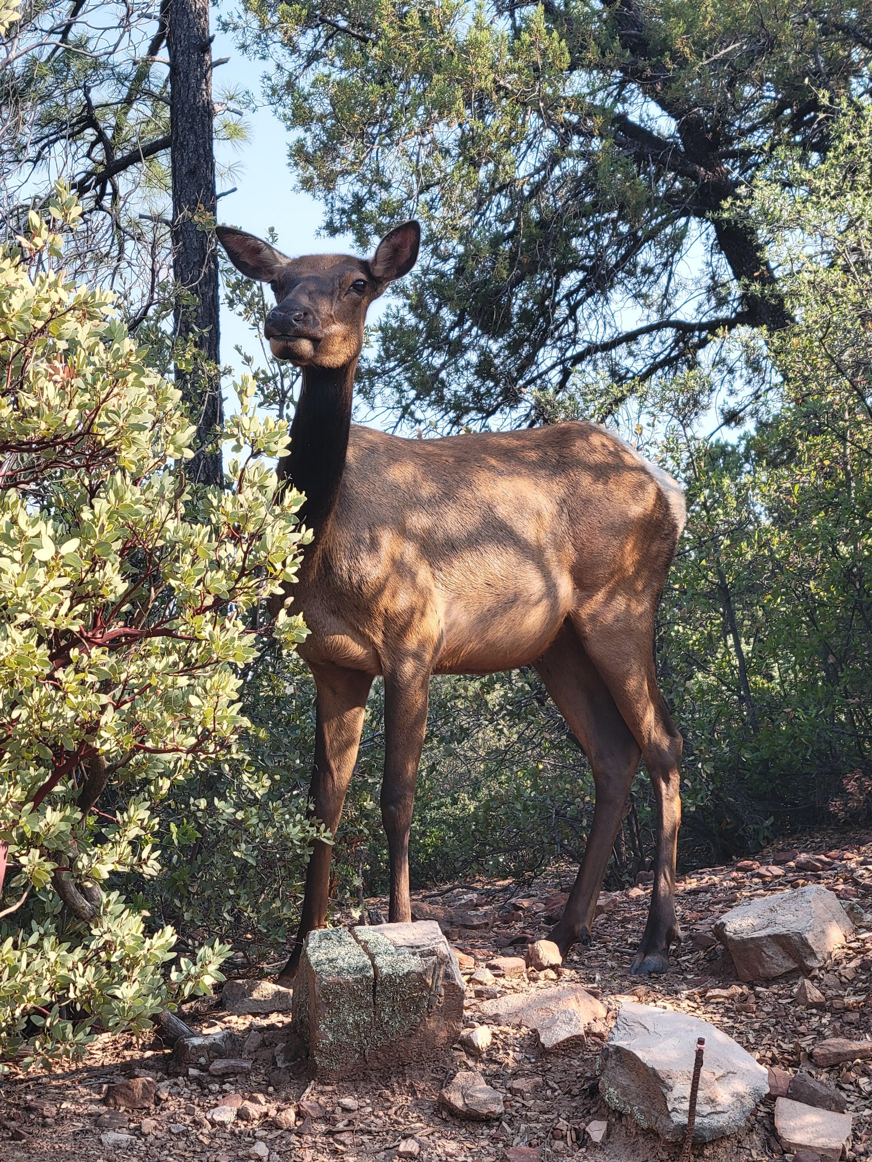 right on the property!