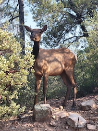 right on the property!