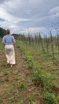 A walk in the surrounding olive tree grove