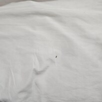 More stain in bedding
