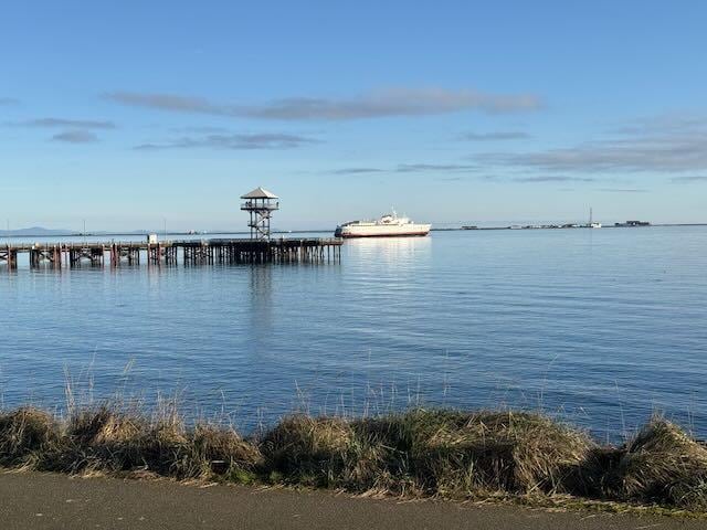 View of BC Ferry from out room in March 26