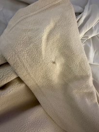 One of the many unknown things found in the dirty sheets