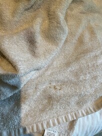 Clean towel 1