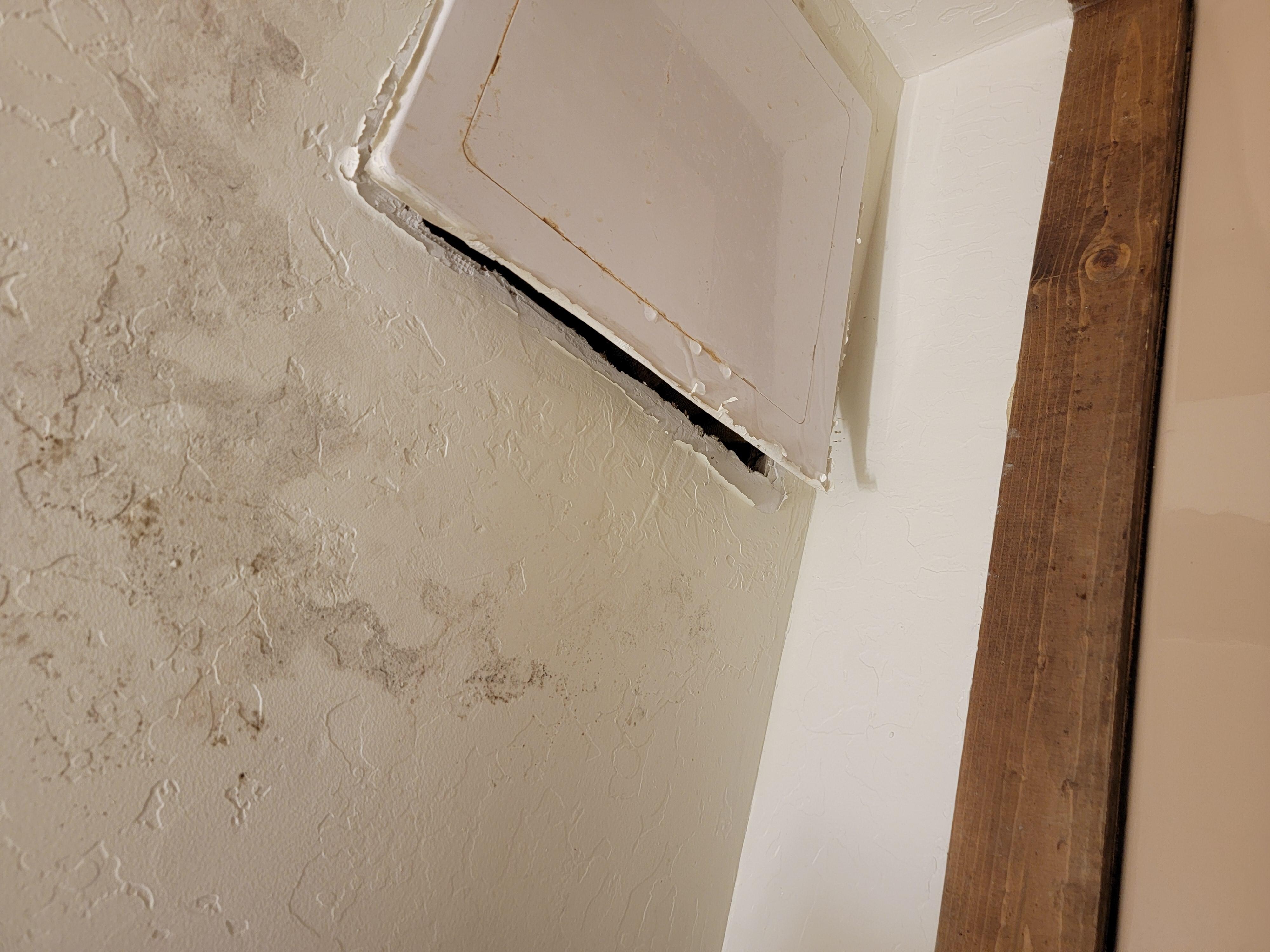 Ceiling of shower coming off and dripping water. It had towels up there to dry up the water. Mold everywhere.