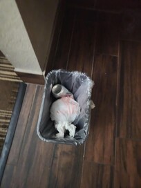 Umm yeah.... not ours.