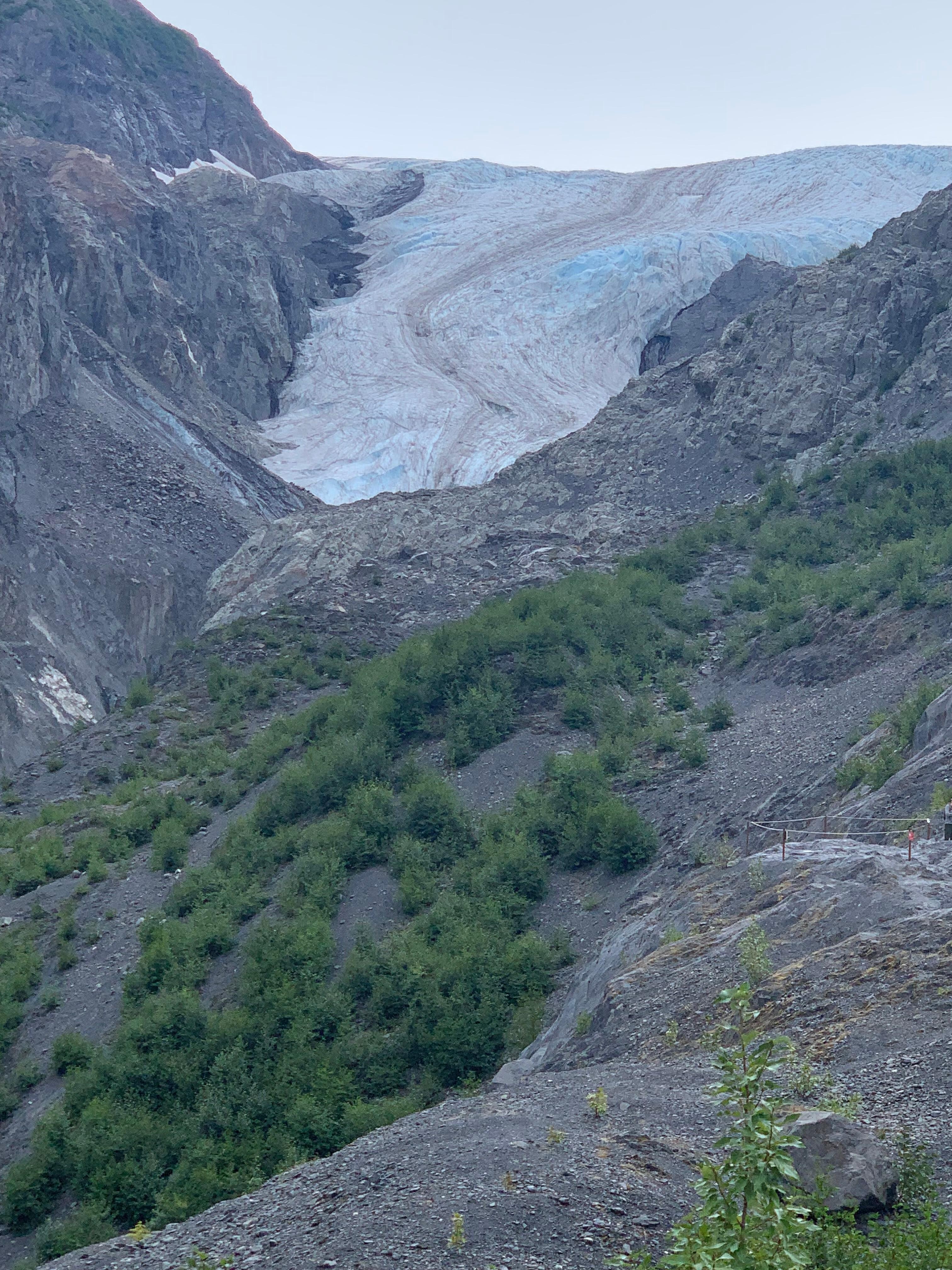 Exit glacier 