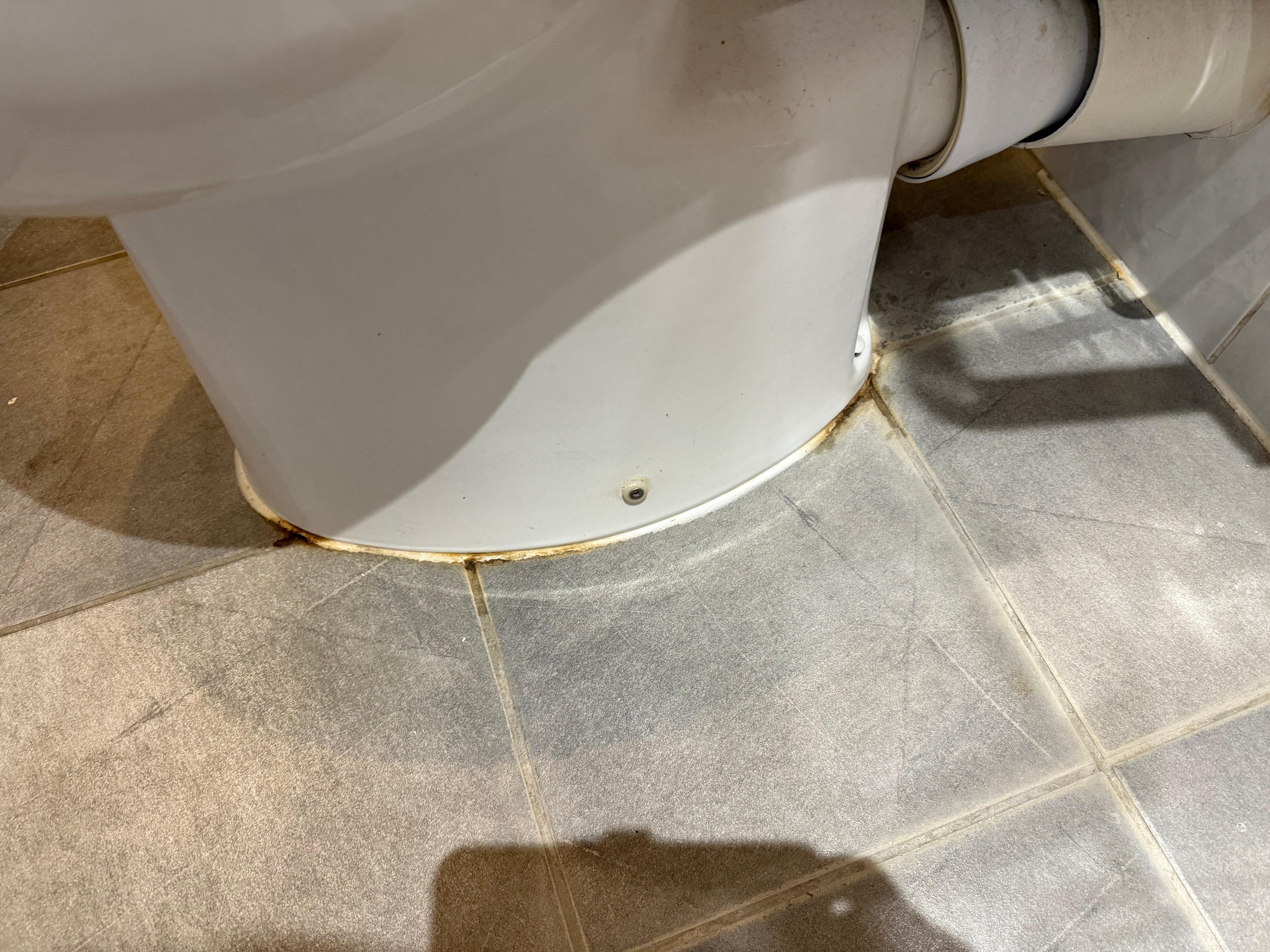 Staining around base of toilet 