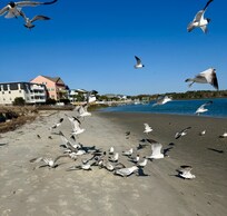 Feeding the seagulls, one of my favorite things to do!