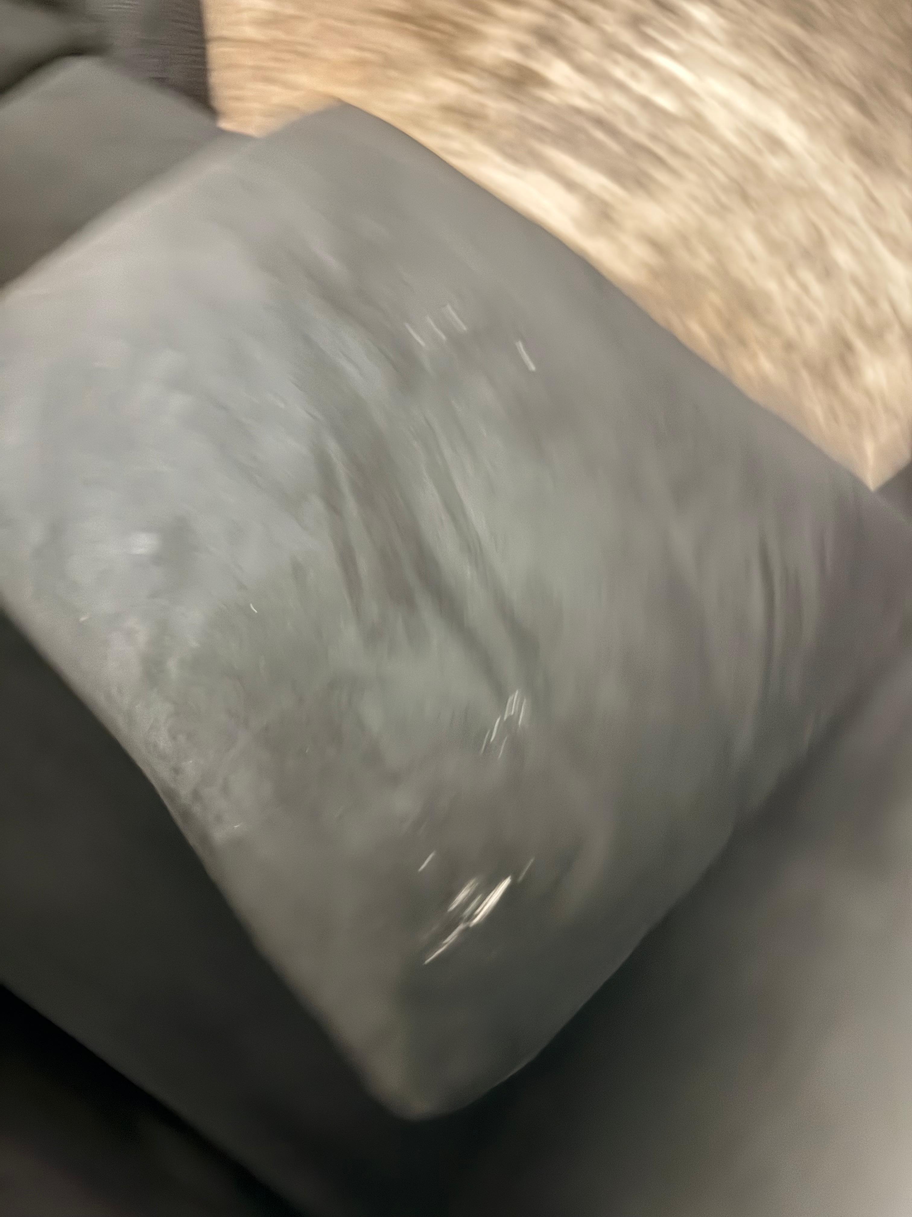 Not sure what this was on the couch cushion