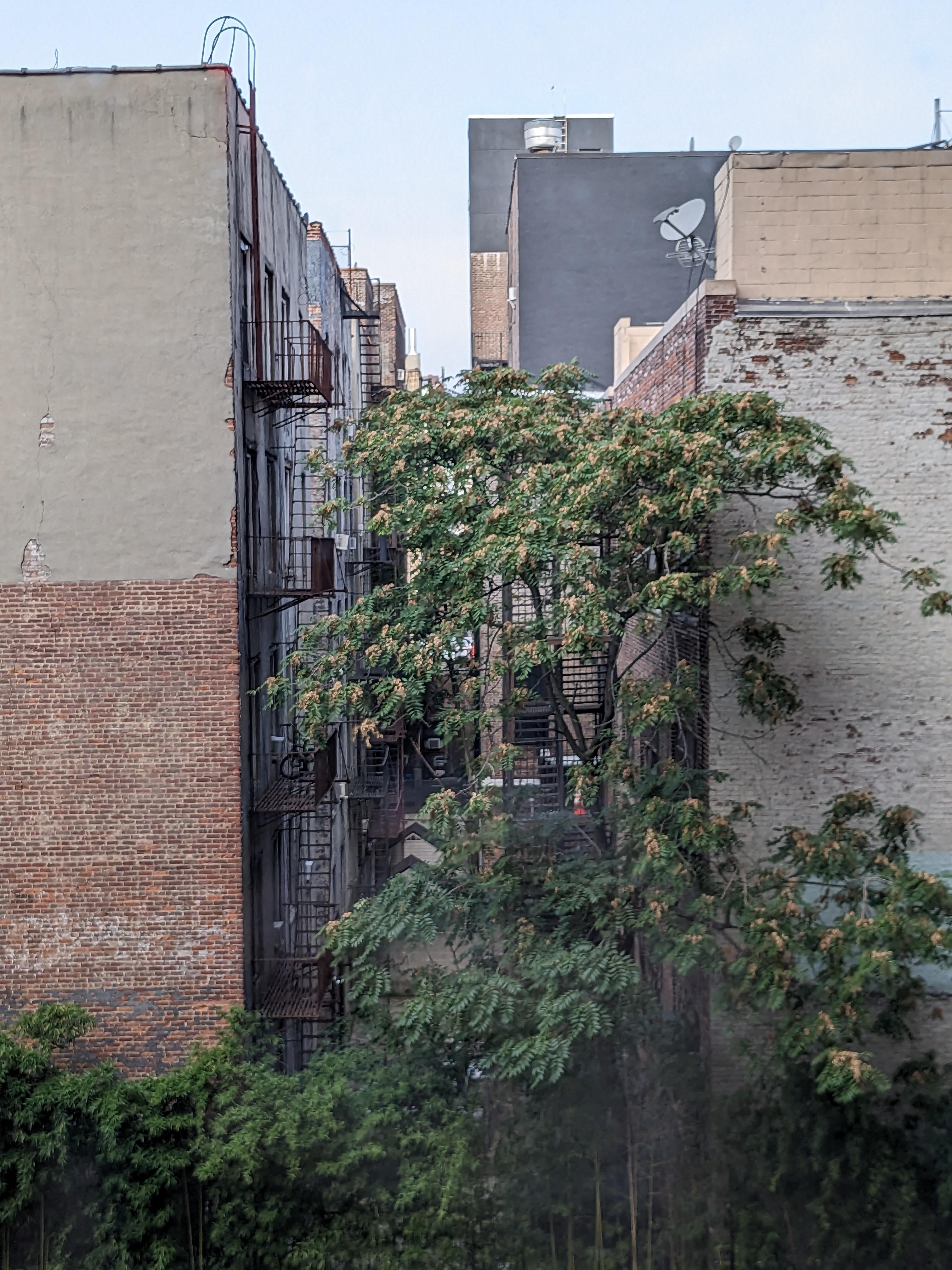 View from the 4th floor window of the neighborhood outside.