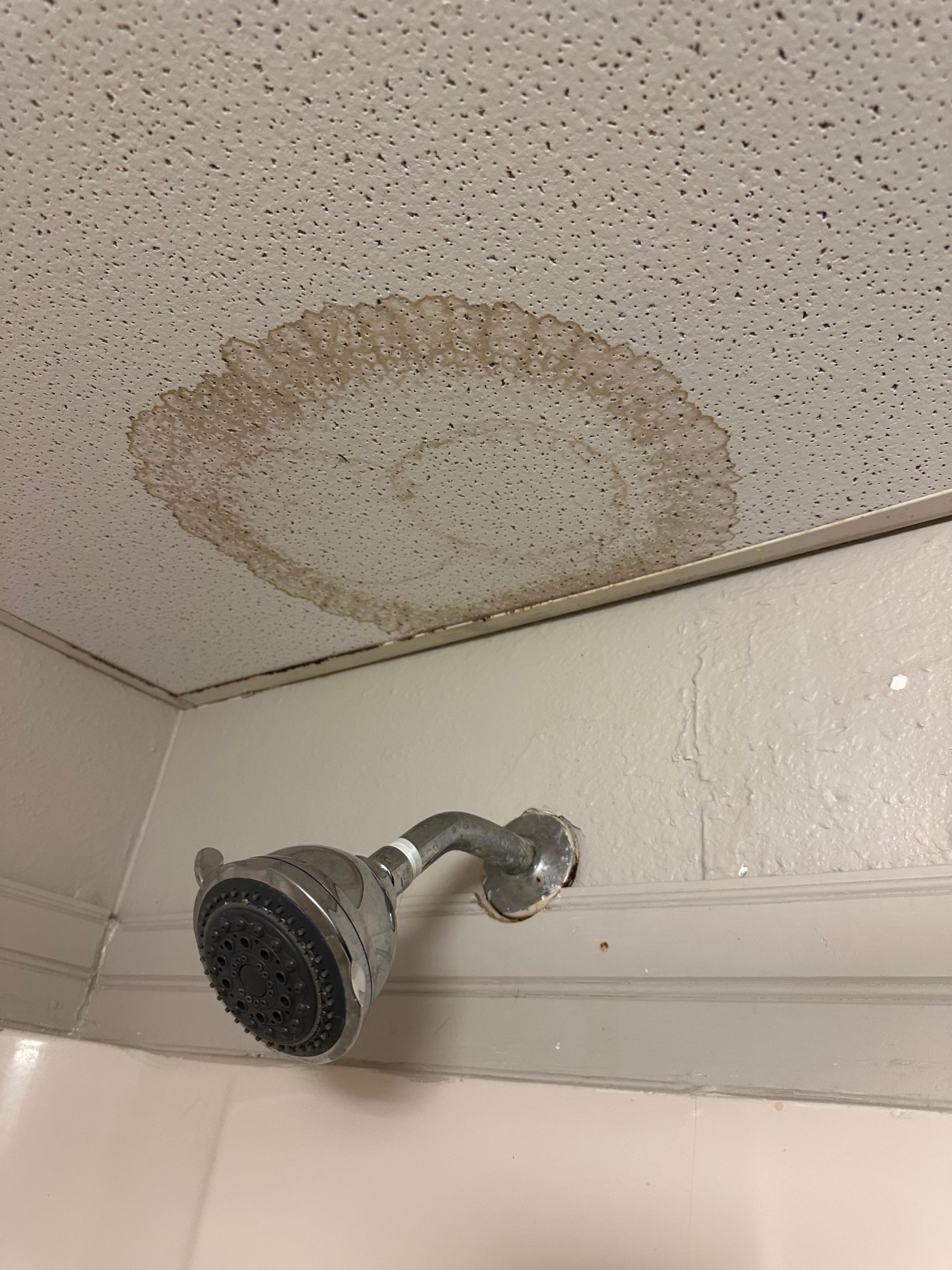 Numerous water stained ceiling tiles