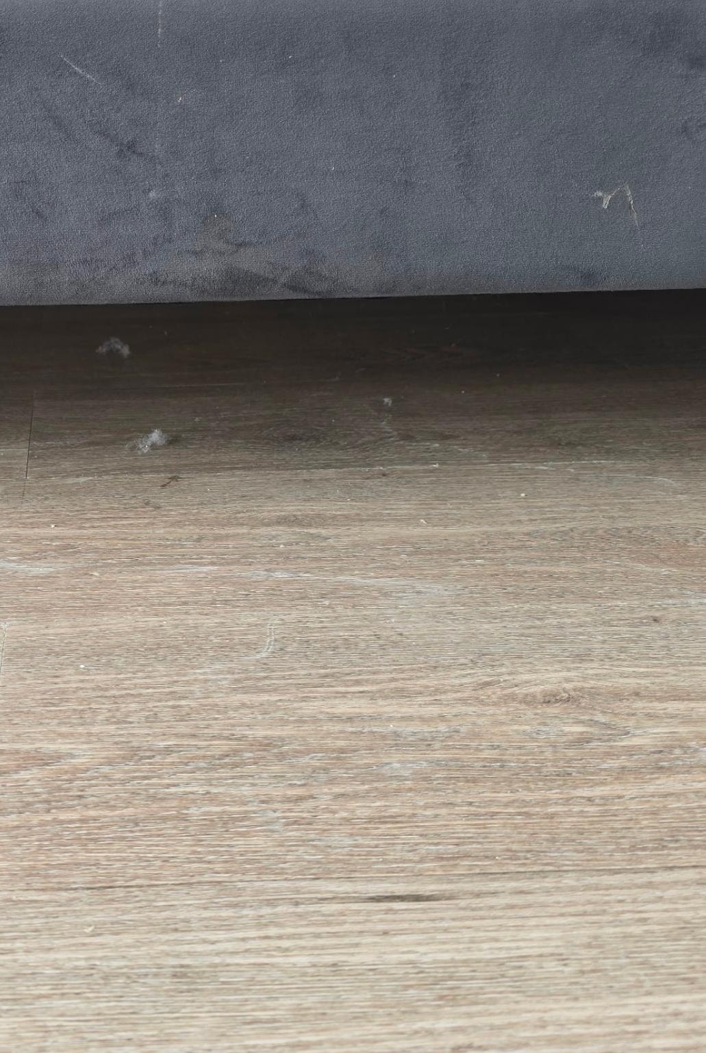 Alot of dust underneath the primary bedroom bed and throughout the apartment 