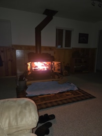Wood burning fireplace