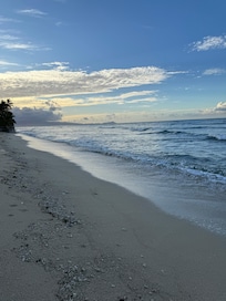 Beach in the Morning