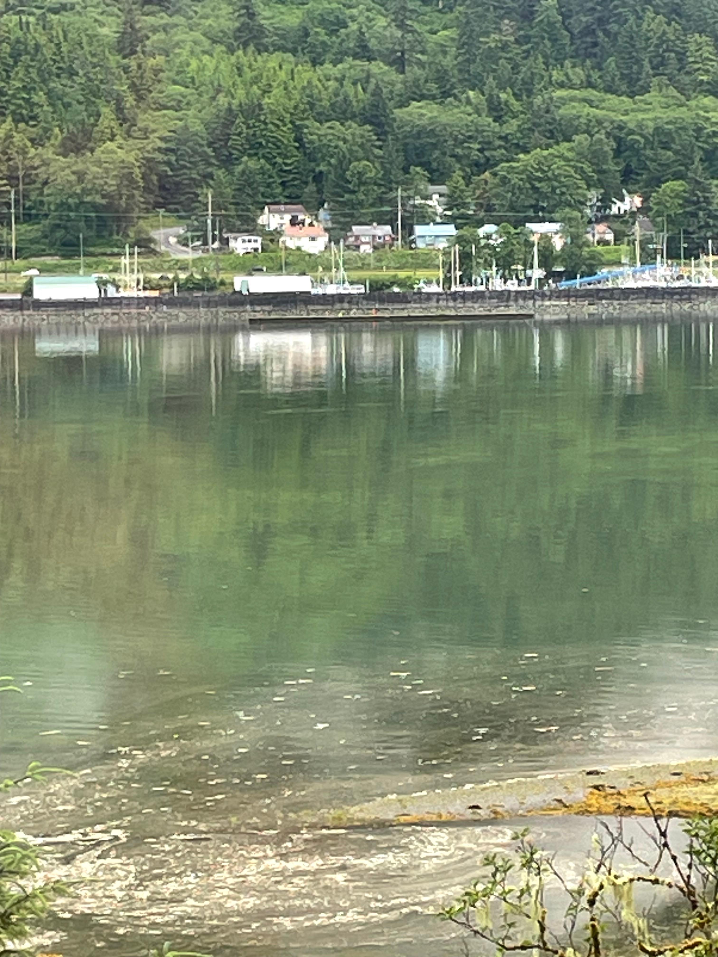 All are a view from the house over they stay.