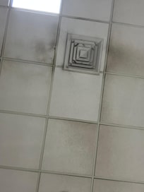 Moldy